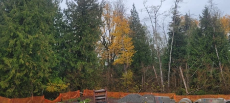 Exterior Rear Photo of LT. 583 Stephen Leacock Drive, Abbotsford, BC