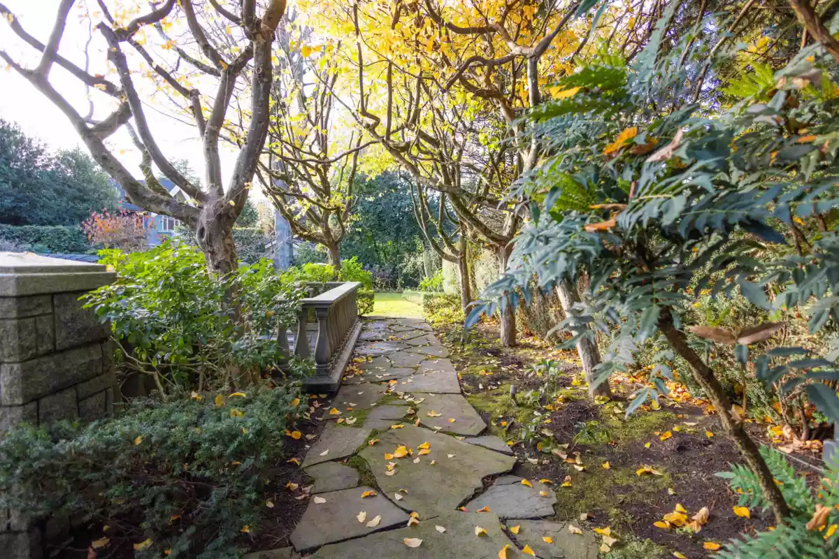 Backyard Photo of 3719 Selkirk Street, Vancouver, BC