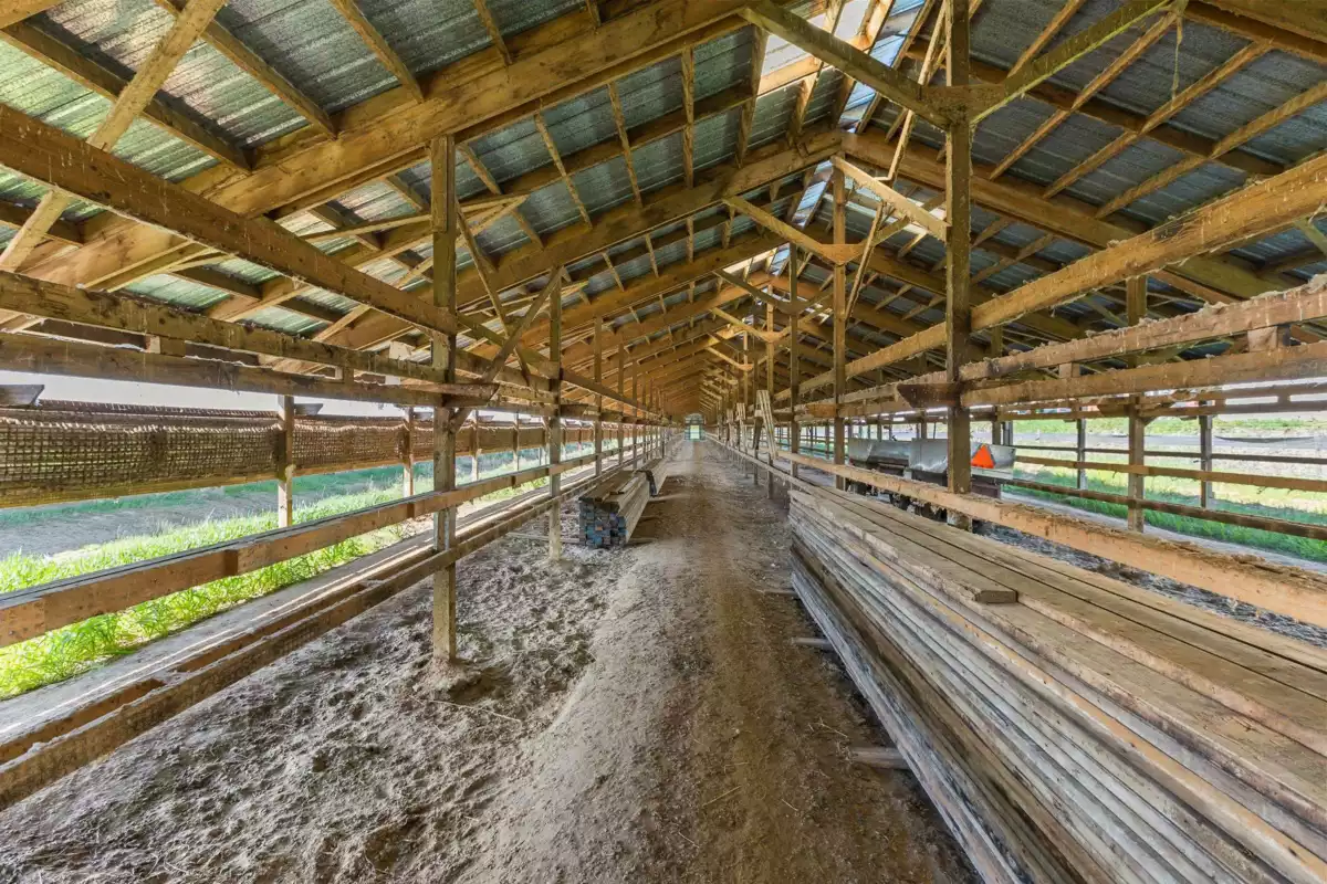 Basement Recreation Room Photo of 711 256 Street, Langley, BC