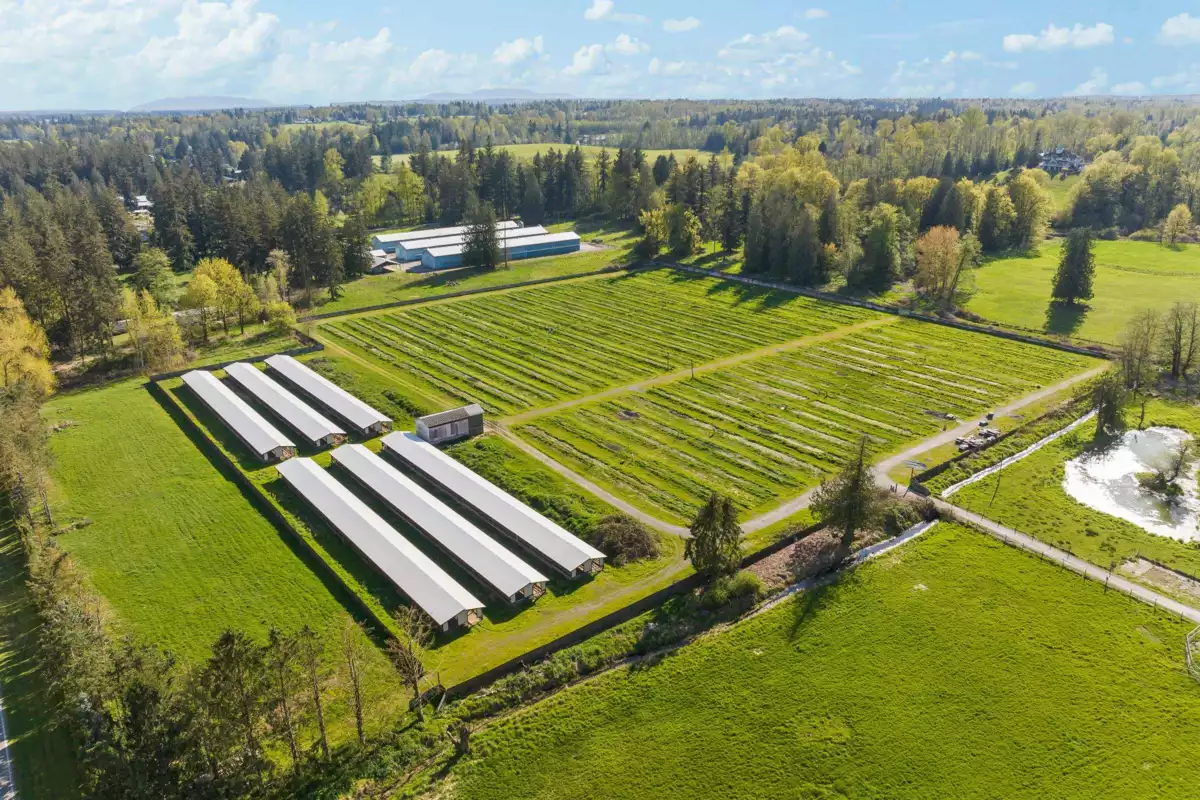 Hallway Photo of 711 256 Street, Langley, BC