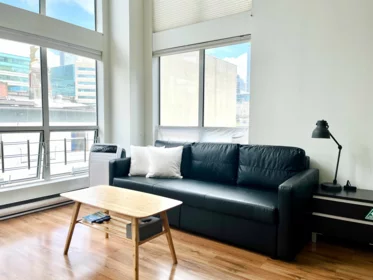 403 933 Seymour Street, Vancouver, BC