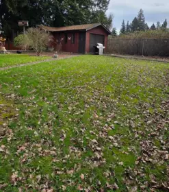 33294 Westbury Avenue, Abbotsford, BC, Abbotsford — Single Family Residence for sale
