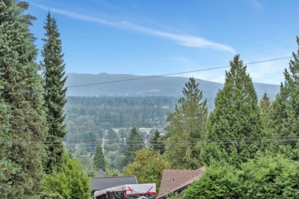 Pantry Photo of 3088 Lazy A Street, Coquitlam, BC