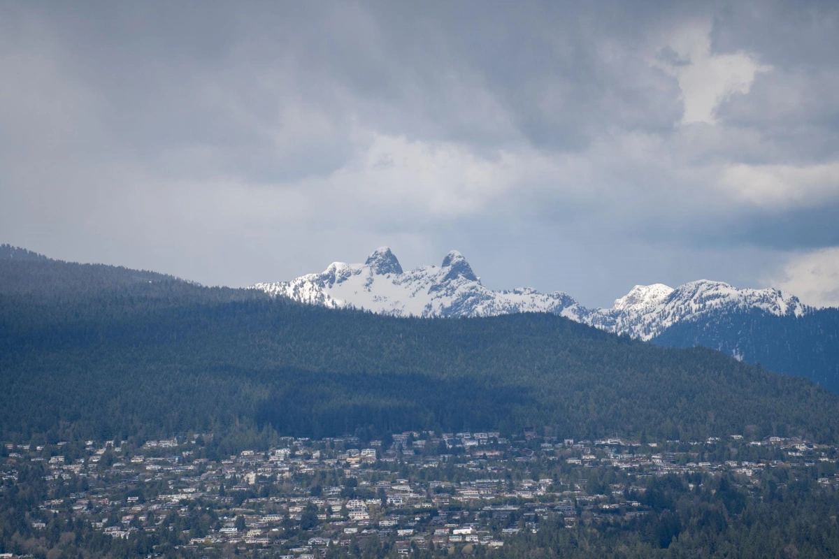Garden / Landscaping Photo of 2105 108 W Cordova Street, Vancouver, BC