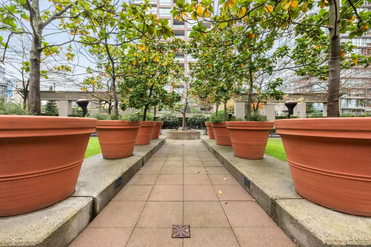 Basement Recreation Room Photo of 1203 969 Richards Street, Vancouver, BC