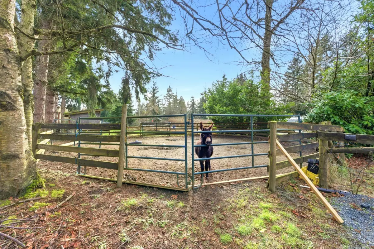 Swimming Pool Photo of 19751 16 Avenue, Langley, BC