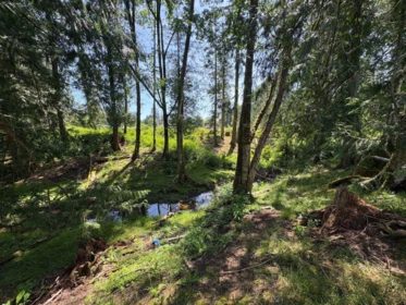 Neighborhood Park Photo Near 22828 38 Avenue, Langley, BC