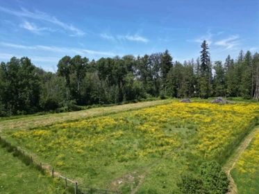 Street View Photo of 22828 38 Avenue, Langley, BC