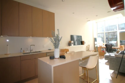 125 E 1st Avenue, Vancouver, BC, Vancouver — Townhouse for sale