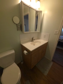 Powder Room Photo of 67 4200 Dewdney Trunk Road, Coquitlam, BC