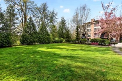 Neighborhood Park Photo Near 116 11665 Haney Bypass, Maple Ridge, BC