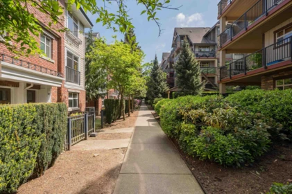 Street View Photo of 80 20738 84 Avenue, Langley, BC
