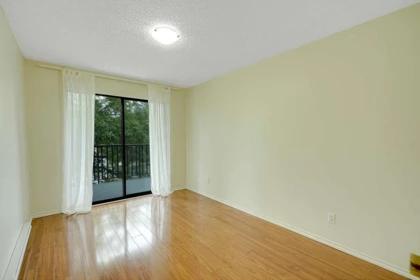 Basement Recreation Room Photo of 215 9952 149 Street, Surrey, BC