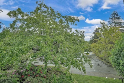 Outdoor Patio Photo of 215 9952 149 Street, Surrey, BC