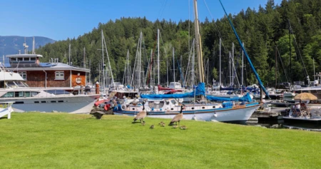 Community Amenities Photo (Clubhouse) of 1096 Foxglove Lane, Bowen Island, BC