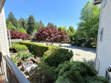 Kitchen Photo of 210 19122 122 Avenue, Pitt Meadows, BC