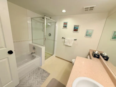 Primary Bathroom Photo of 210 19122 122 Avenue, Pitt Meadows, BC