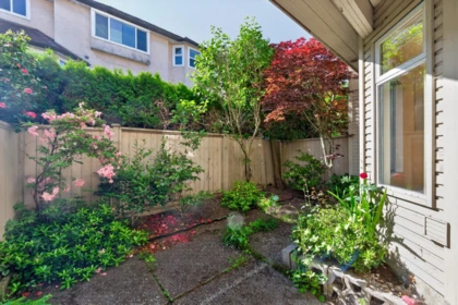 Backyard Photo of 5 8691 Cook Road, Richmond, BC