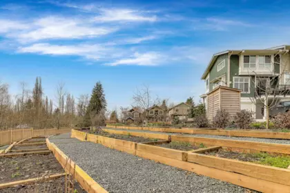 Backyard Photo of 83 24108 104 Avenue, Maple Ridge, BC