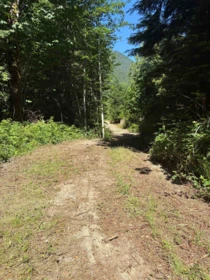 Bedroom 2 Photo of Lot D Elphinstone Crossing, Gibsons, BC