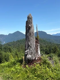 Office / Den Photo of Lot D Elphinstone Crossing, Gibsons, BC