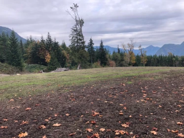 Pantry Photo of Lot D Elphinstone Crossing, Gibsons, BC