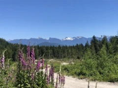 Lot D Elphinstone Crossing, Gibsons, BC