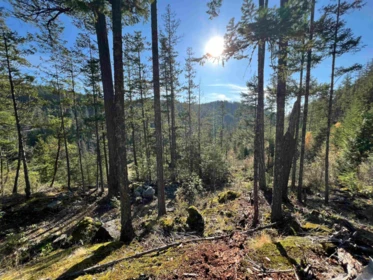 13645 Lee Road, Garden Bay, BC, Garden Bay — Land for sale