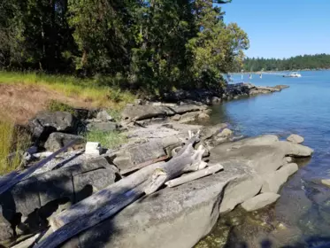Front Yard Photo of 108 Twiss Road, Galiano Island, BC