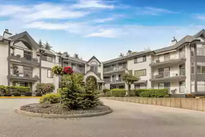 303 11601 227 Street, Maple Ridge, BC