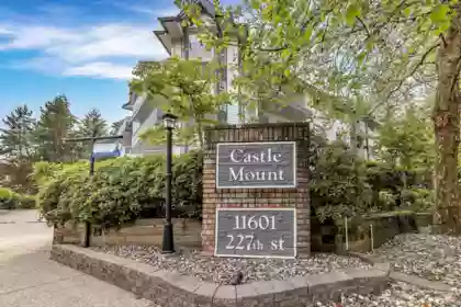 303 11601 227 Street, Maple Ridge, BC