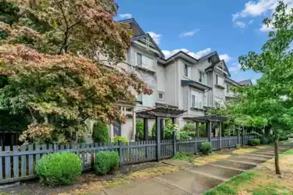 48 8418 163 Street, Surrey, BC, Fleetwood Tynehead — 4 bed townhouse for sale