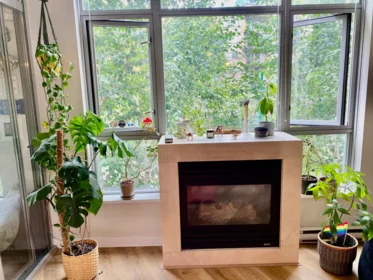 Living Room Photo of 204 1050 Smithe Street, Vancouver, BC