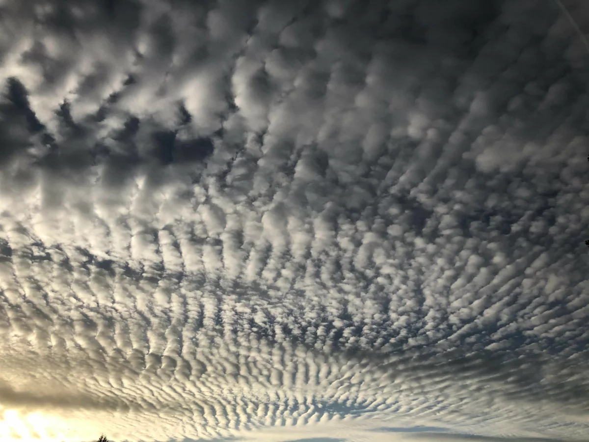 Breakfast Nook Photo of 10388 Hayward Street, Mission, BC