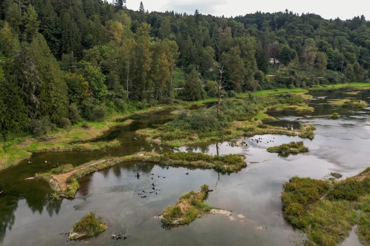 Entry Foyer Photo of 10388 Hayward Street, Mission, BC