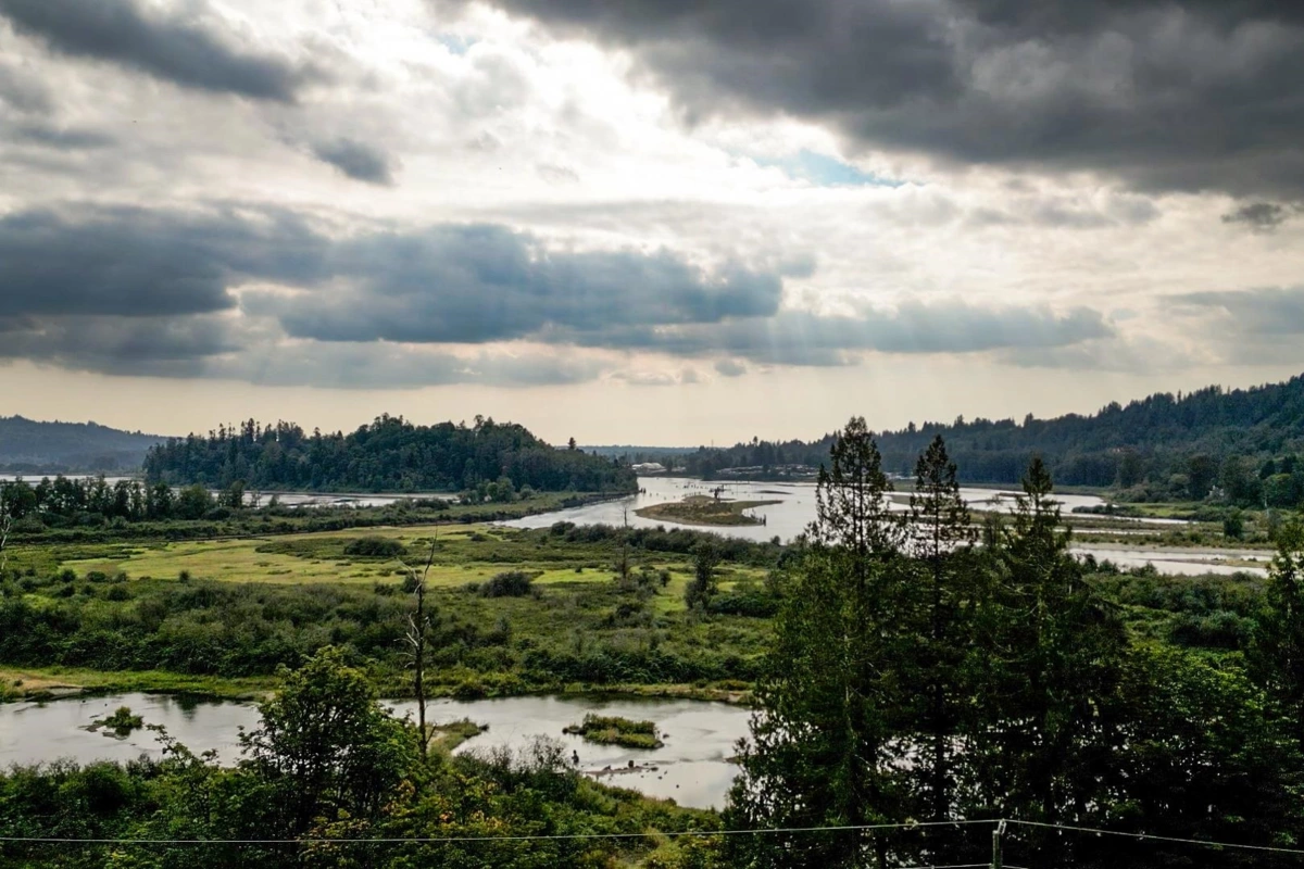 Living Room Photo of 10388 Hayward Street, Mission, BC
