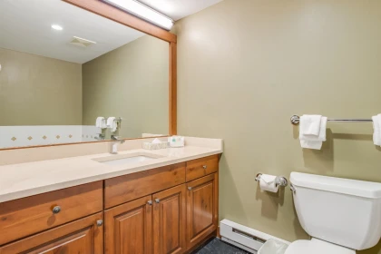 Basement Recreation Room Photo of 104G2 4653 Blackcomb Way, Whistler, BC