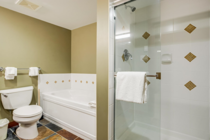 Loft / Bonus Room Photo of 104G2 4653 Blackcomb Way, Whistler, BC