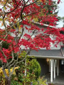 350 52a Street, Delta, BC, Boundary Beach — 4 bed single family residence for sale