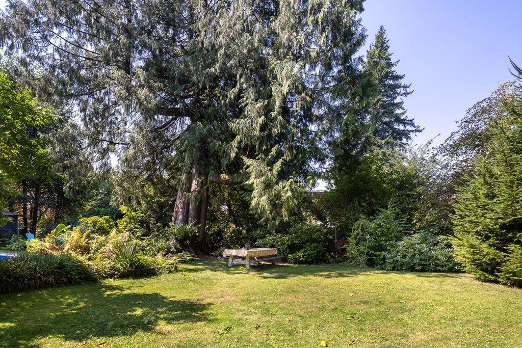 Neighborhood Park Photo Near 1613 Lincoln Avenue, Port Coquitlam, BC