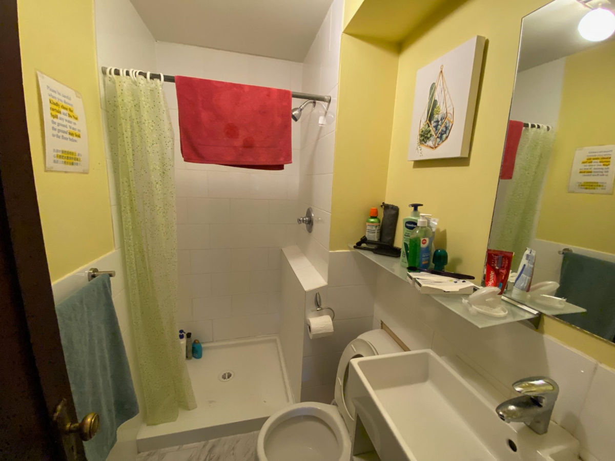 Front Yard Photo of 387 W 13th Avenue, Vancouver, BC