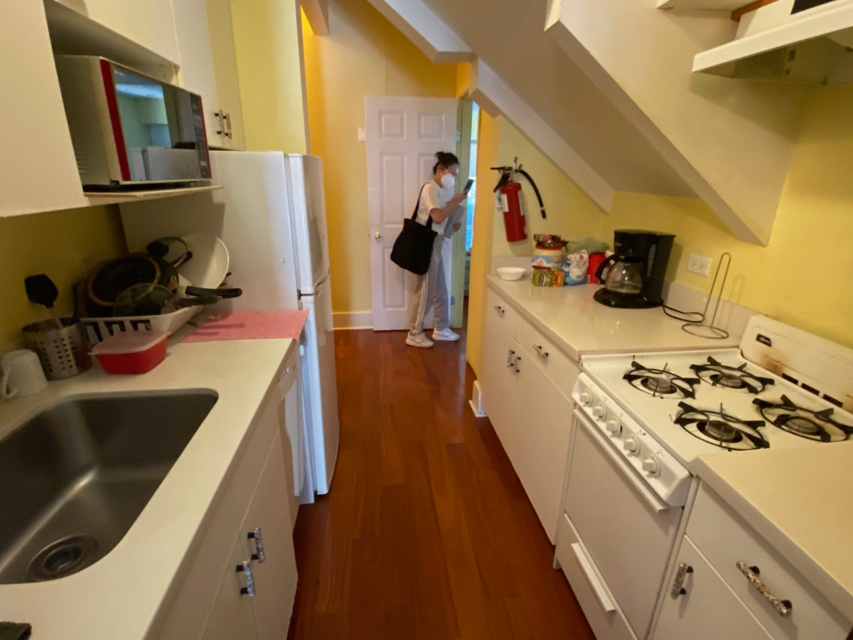 Garden / Landscaping Photo of 387 W 13th Avenue, Vancouver, BC