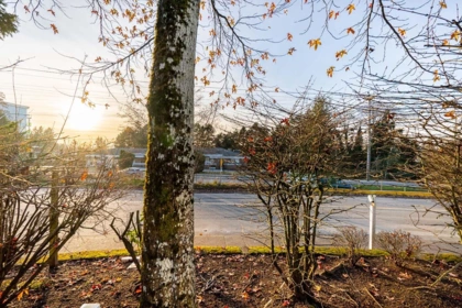 Street View Photo of 1 9088 Holt Road, Surrey, BC