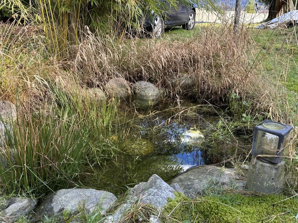 Bedroom 3 Photo of 11191 Stave Lake Road, Mission, BC