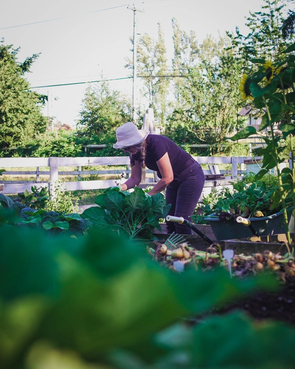 Dining Area Photo of 21113 16 Avenue, Langley, BC