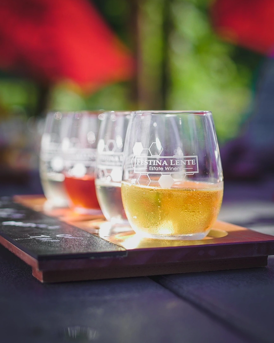 Family Room Photo of 21113 16 Avenue, Langley, BC