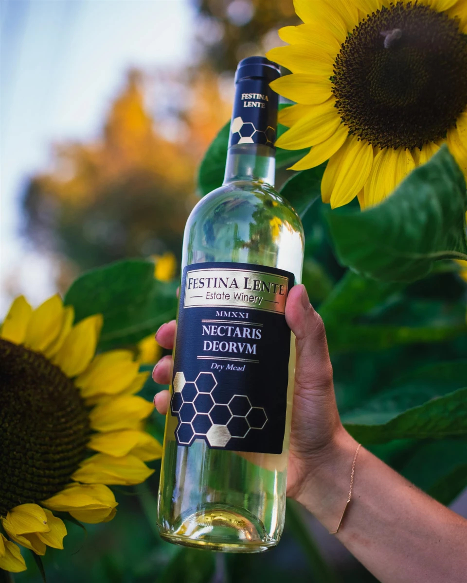 Primary Bedroom Photo of 21113 16 Avenue, Langley, BC