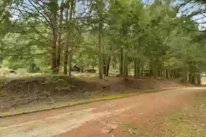 416 Wood Dale Drive, Mayne Island, BC, Mayne Island — Land for sale