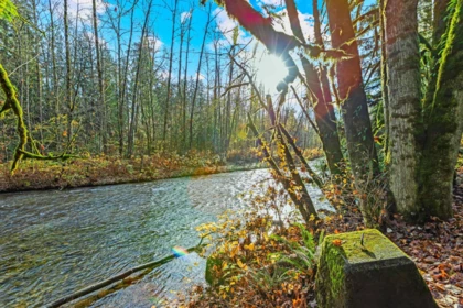 Playground / Recreational Area Near 23258 121a Avenue, Maple Ridge, BC