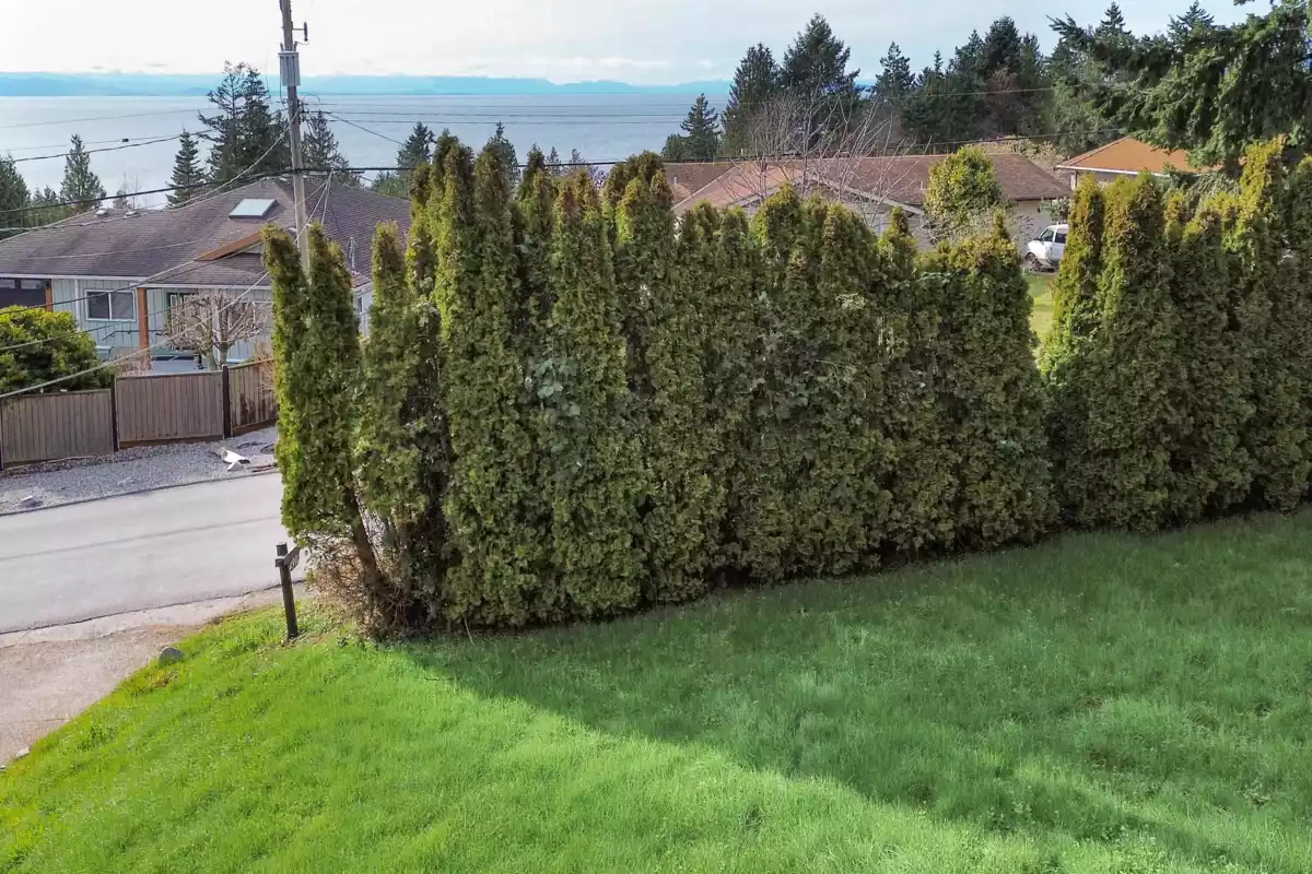 Staircase Photo of 4902 Laurel Avenue, Sechelt, BC